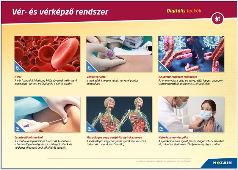 pilot_anyag01 pilot_anyag01